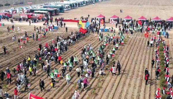 1748919549874763.jpg 13.jpg