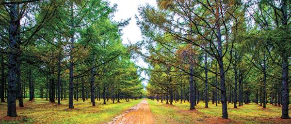 1748919592876350.jpg 15.jpg