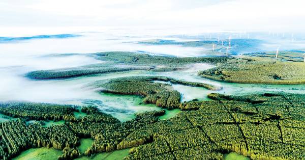 1748919811709295.jpg 16.jpg