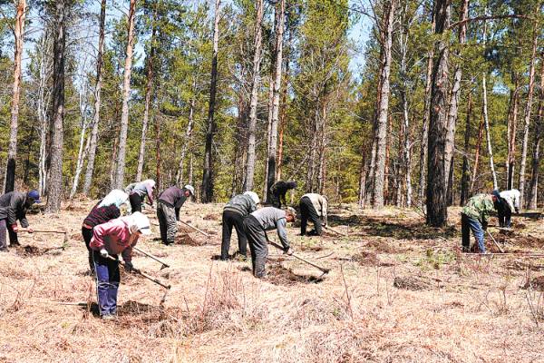 1748919853402907.jpg 17.jpg