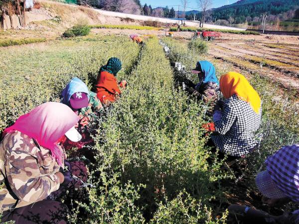 1748919865913752.jpg 18.jpg