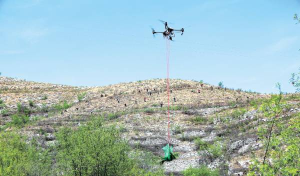 1748919881969833.jpg 19.jpg