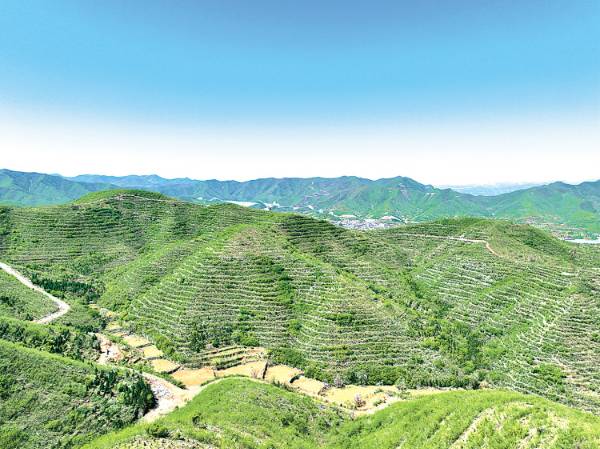 1748919960646508.jpg 21.jpg