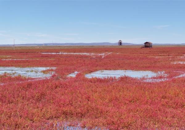 1748919972240902.jpg 22.jpg