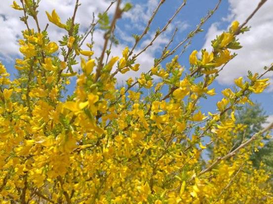 1748920495564808.jpg 1 (1).jpg