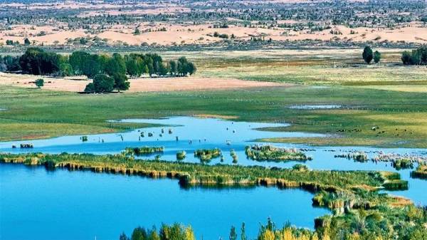 1748920943128828.jpg 1 (1).jpg