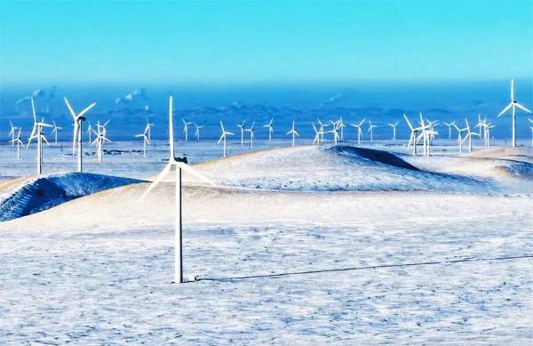 1748920950976459.jpg 2 (1).jpg