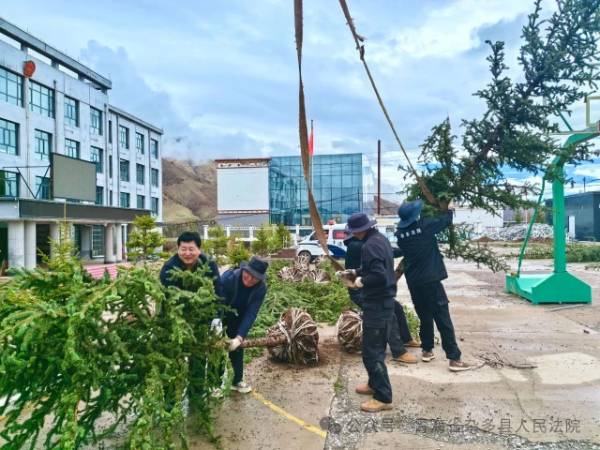 1748927420550259.jpg 1 (1).jpg