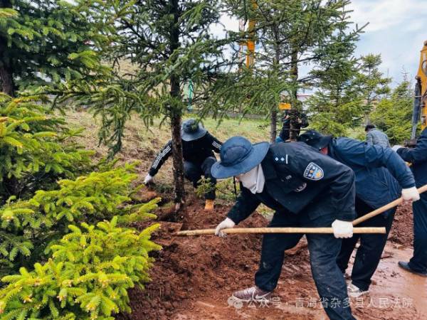 1748927429434139.jpg 2 (1).jpg