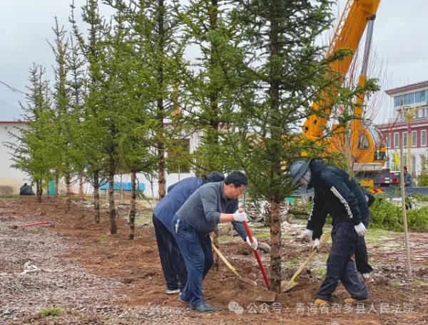 1748927443571538.jpg 3 (1).jpg