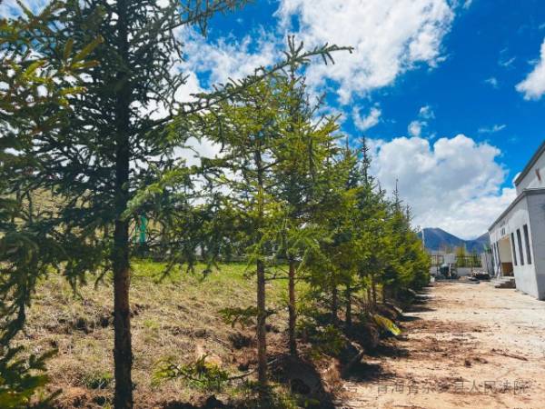 1748927450318688.jpg 4 (1).jpg