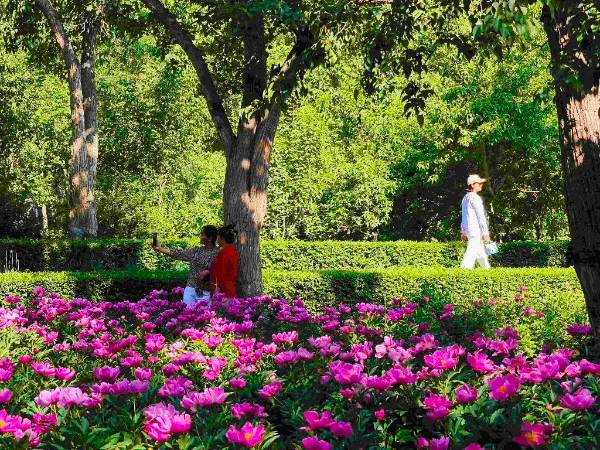 1748927796944528.jpg 1 (1).jpg