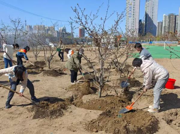 1748928537135428.jpg 6.jpg