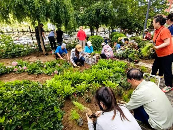 1748928546726693.jpg 7.jpg