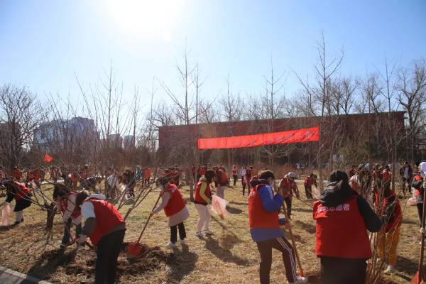 1748928553546176.jpg 8.jpg