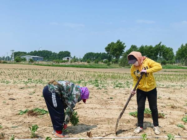 1749020145127063.jpg 15.jpg