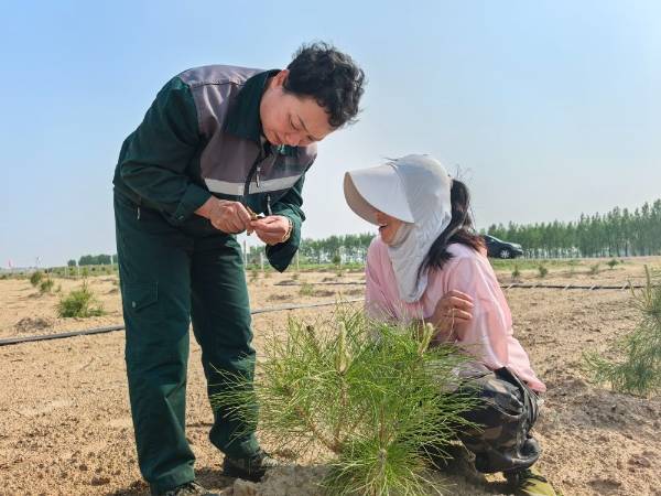 1749020157685338.jpg 16.jpg