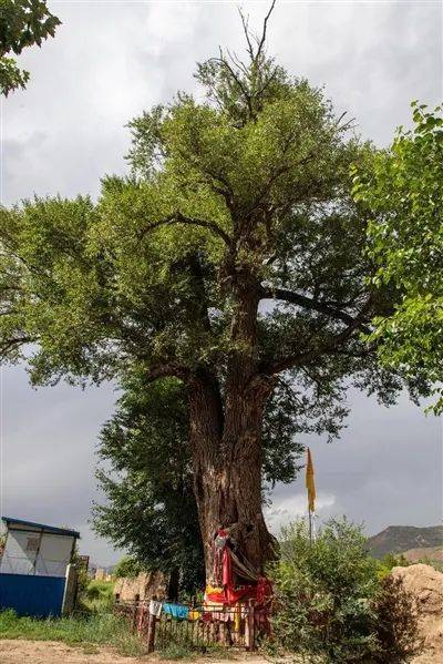 1749020479171462.jpg 17.jpg