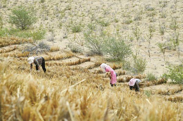 1749102376671494.jpg 11.jpg