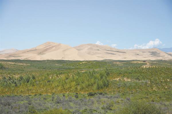 1749102388622028.jpg 12.jpg