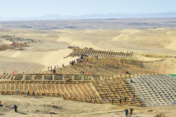 1749102400684908.jpg 13.jpg