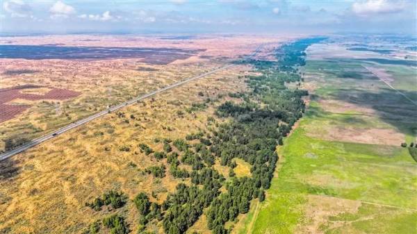 1749186594206437.jpg 2.jpg