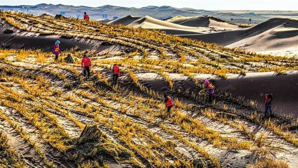 1749186602930787.jpg 3.jpg