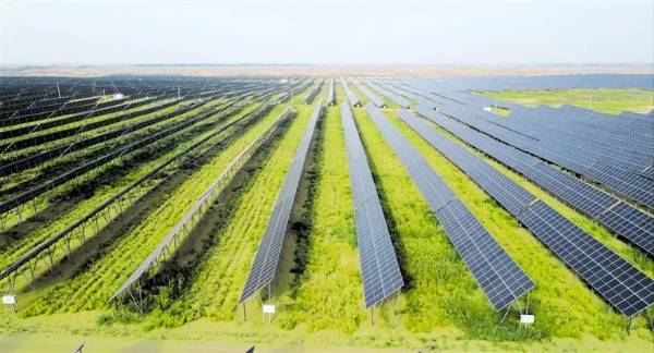 1749186609186444.jpg 4.jpg