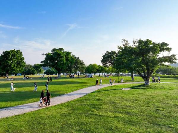 1749187605678618.jpg 8.jpg