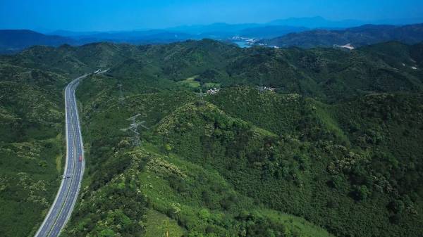 1749187622538469.jpg 10.jpg