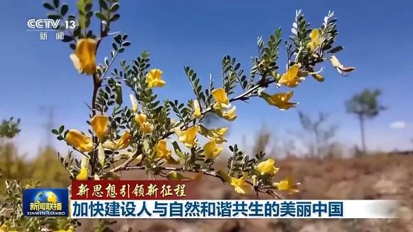 1749187837239232.jpg 11.jpg