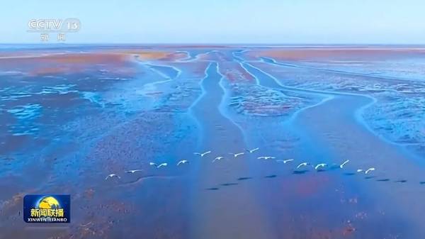 1749187860724609.jpg 14.jpg