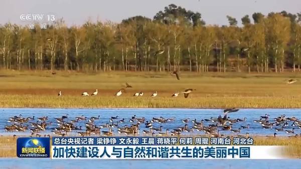 1749187867369564.jpg 15.jpg