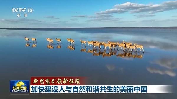 1749187906690531.jpg 17.jpg