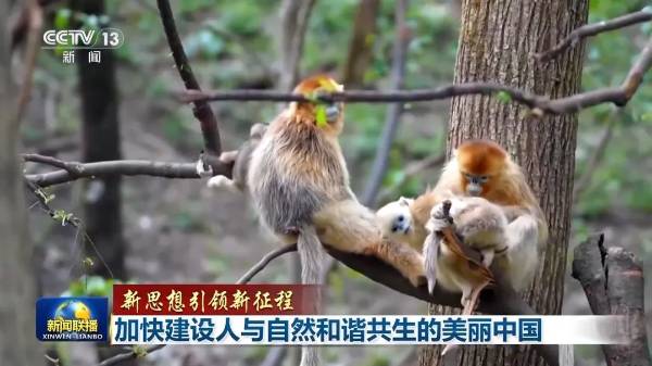 1749187914263557.jpg 18.jpg