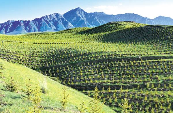 1749188159680740.jpg 21.jpg