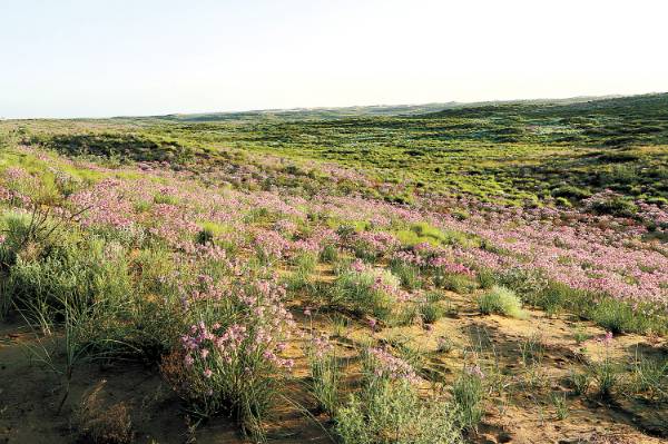 1749188166830420.jpg 22.jpg