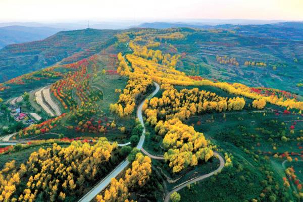 1749188185495227.jpg 24.jpg