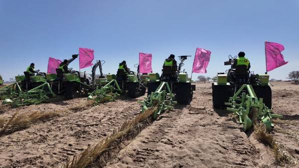 1749188627268701.jpg 30.jpg