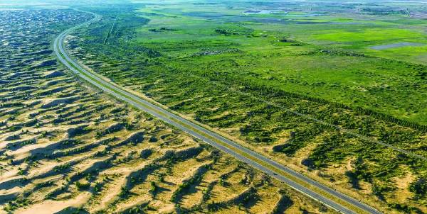 1749433052193417.jpg 2 (1).jpg