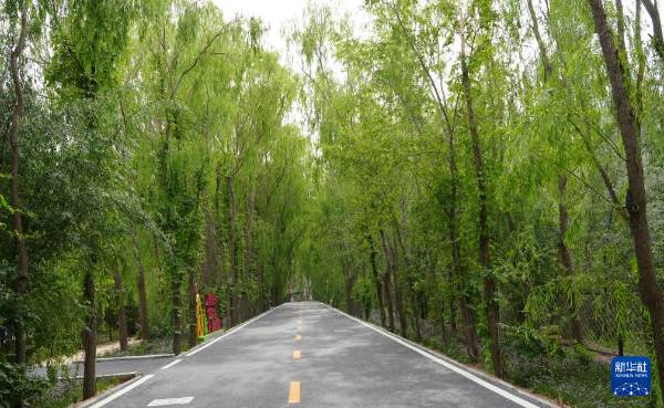 1749434297732161.jpg 2 (1).jpg