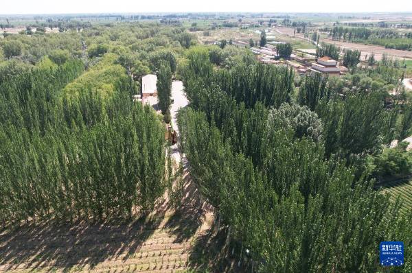 1749434309193347.jpg 3 (1).jpg