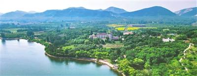 1749446695849660.jpg p2_b (1).jpg