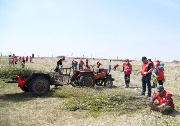 1749448319596405.jpg 2 (1).jpg