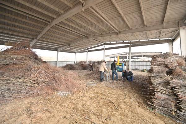 1749448330475186.jpg 3 (1).jpg