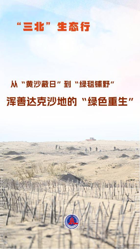 1749448344255303.jpg 1 (1).jpg