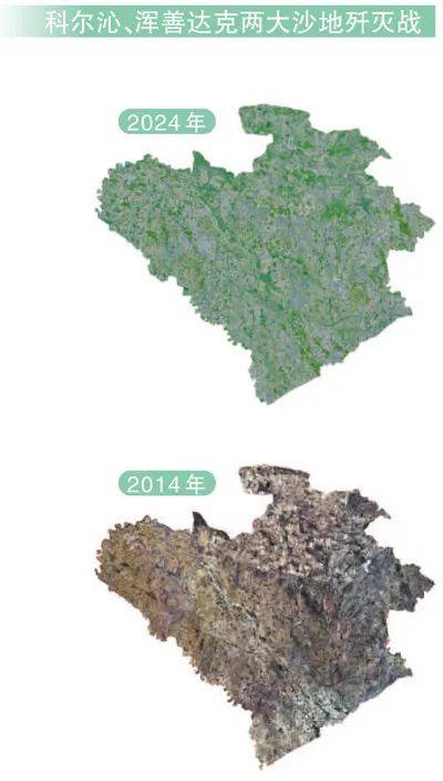 1749449199157929.jpg 3 (1).jpg