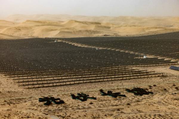 1749449580804257.jpg 1 (1).jpg