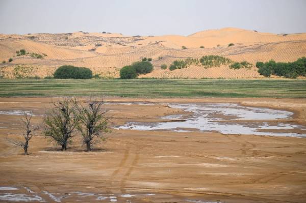 1749449589147963.jpg 2 (1).jpg