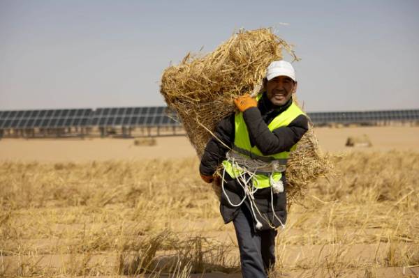 1749449596109636.jpg 3 (1).jpg